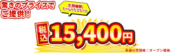 税込15400円