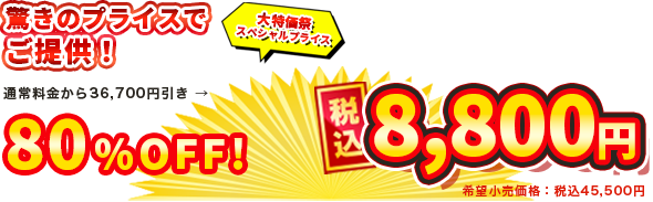 80%OFF 税込8800円